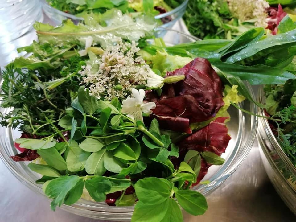 Agriturismo Con Cucina Tipica Nuova Scardua Cavriana Ngoại thất bức ảnh