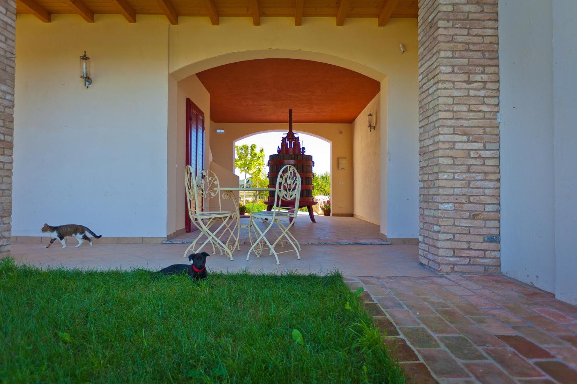 Agriturismo Con Cucina Tipica Nuova Scardua Cavriana Ngoại thất bức ảnh