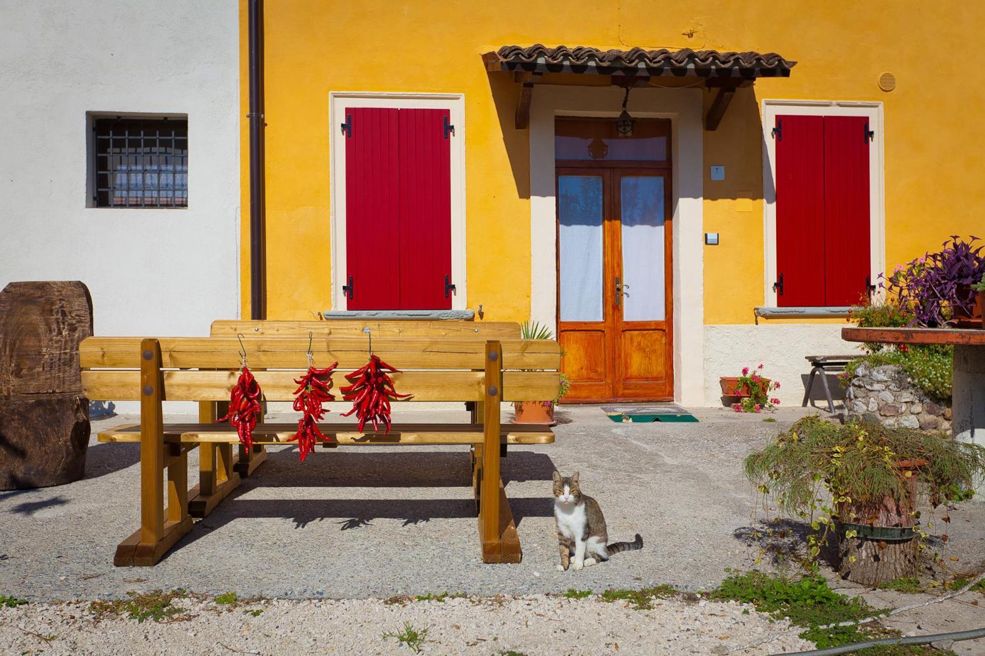 Agriturismo Con Cucina Tipica Nuova Scardua Cavriana Ngoại thất bức ảnh