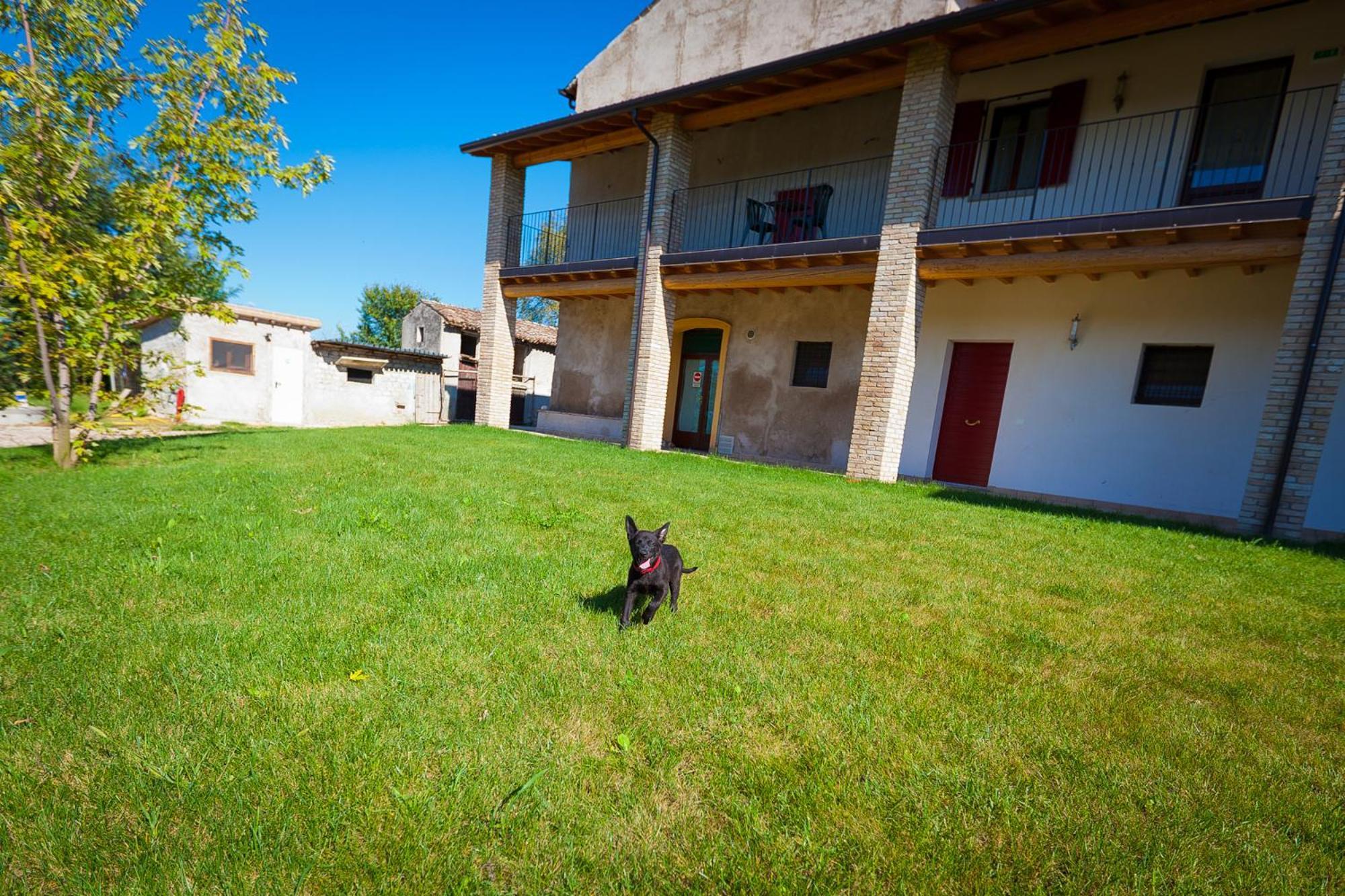 Agriturismo Con Cucina Tipica Nuova Scardua Cavriana Ngoại thất bức ảnh