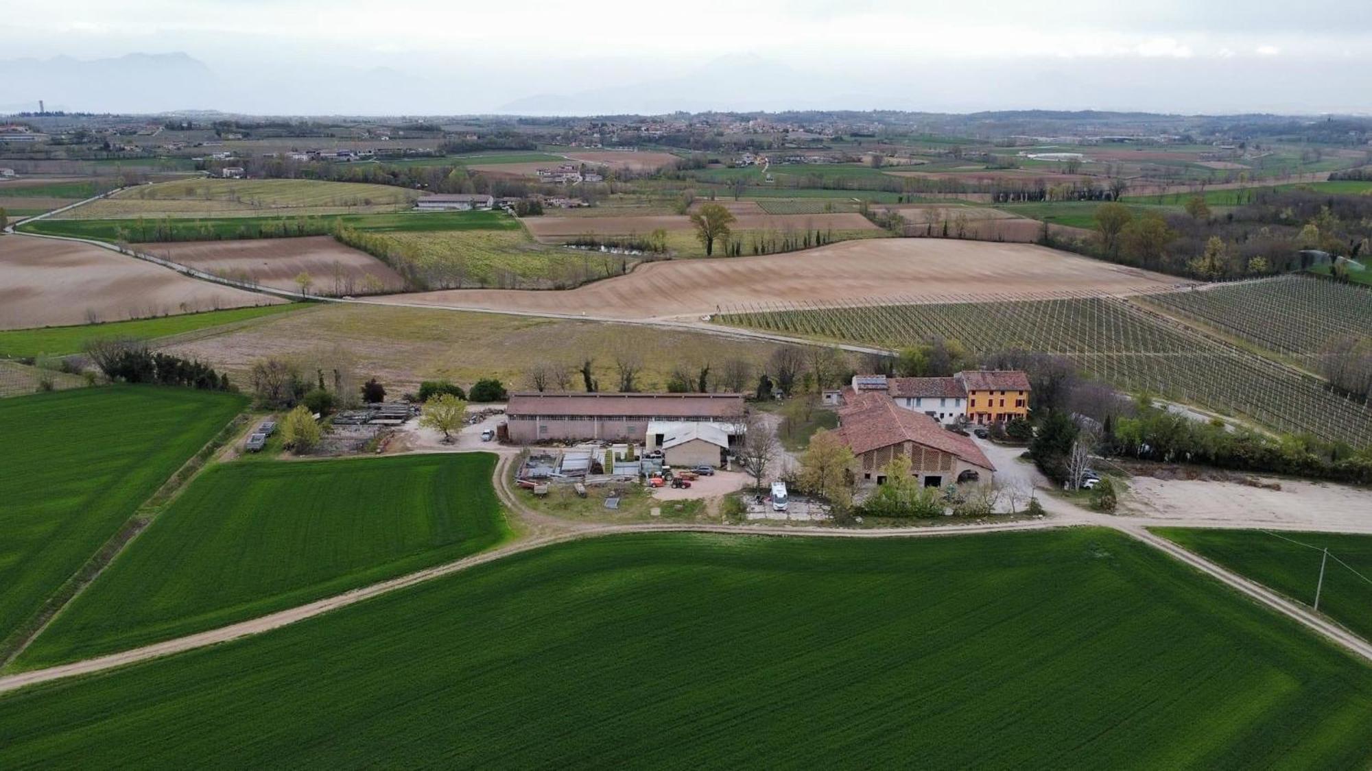 Agriturismo Con Cucina Tipica Nuova Scardua Cavriana Ngoại thất bức ảnh