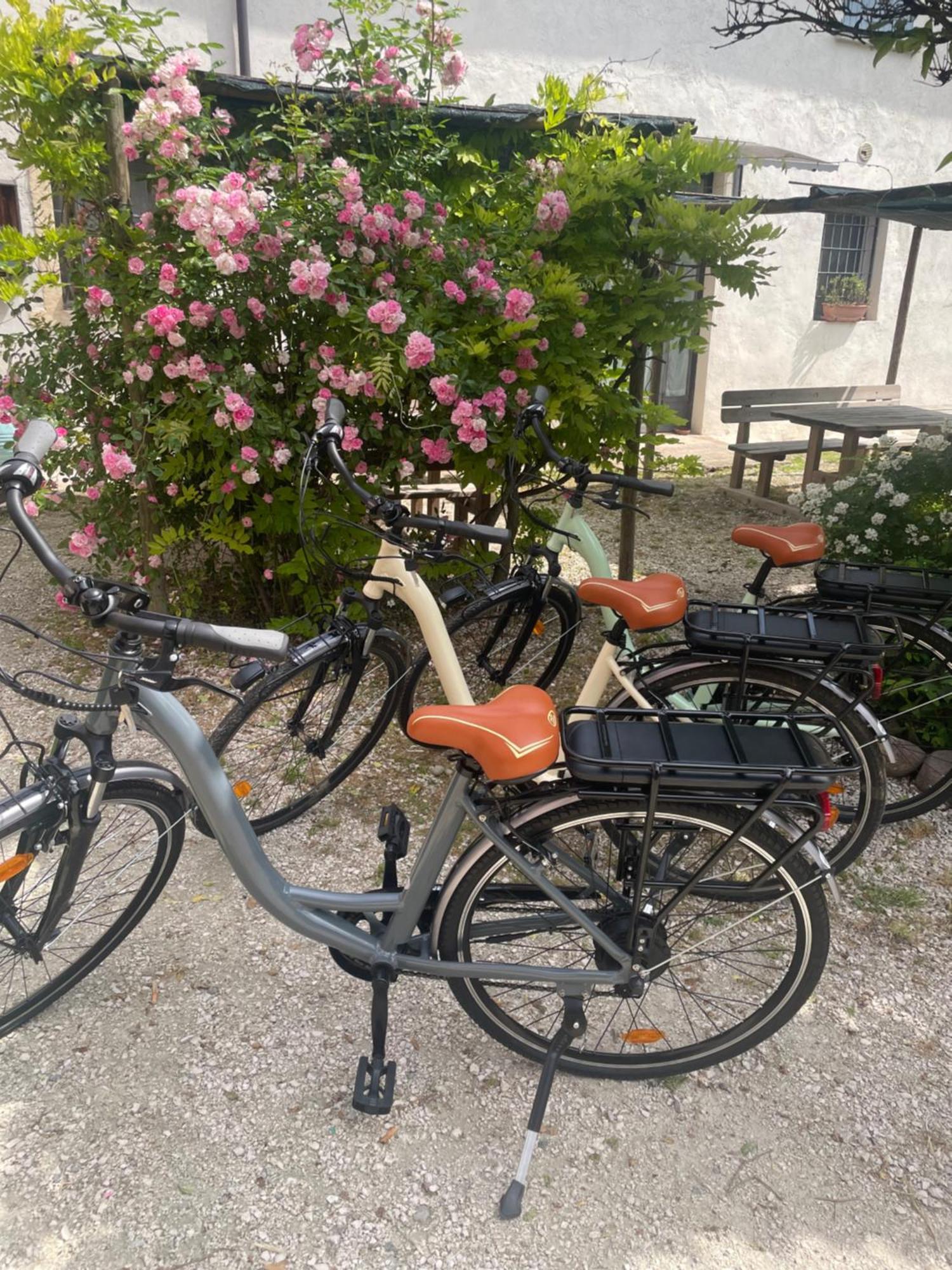 Agriturismo Con Cucina Tipica Nuova Scardua Cavriana Ngoại thất bức ảnh